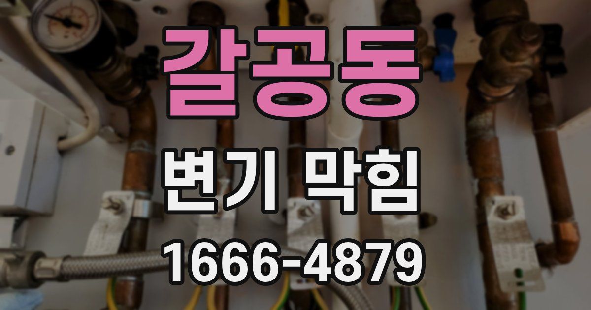 갈공동 변기 막힘