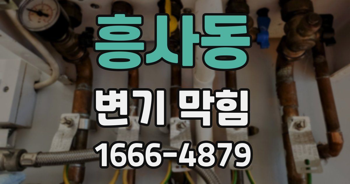 흥사동 변기 막힘
