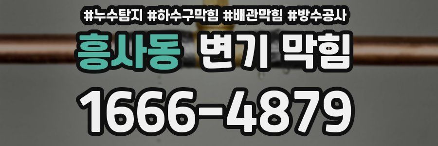 흥사동 변기 막힘