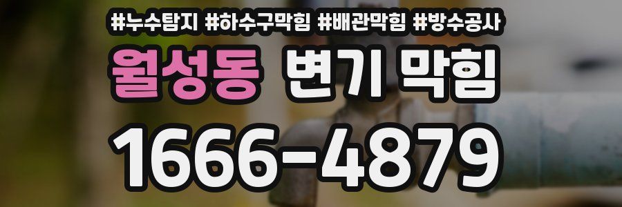 월성동 변기 막힘