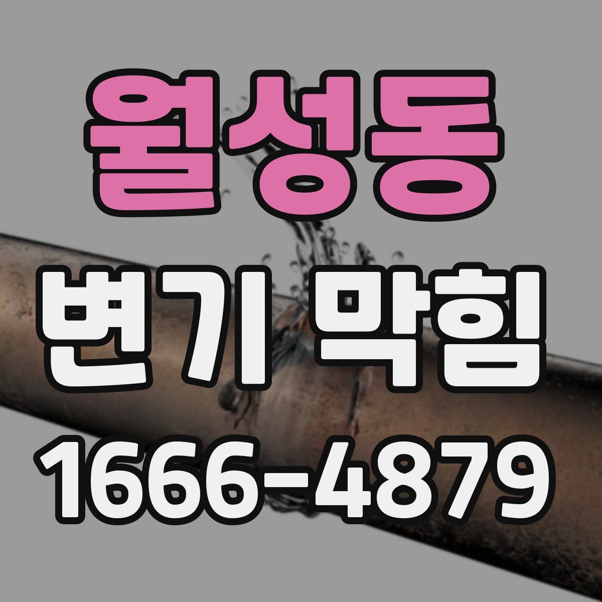 월성동 변기 막힘