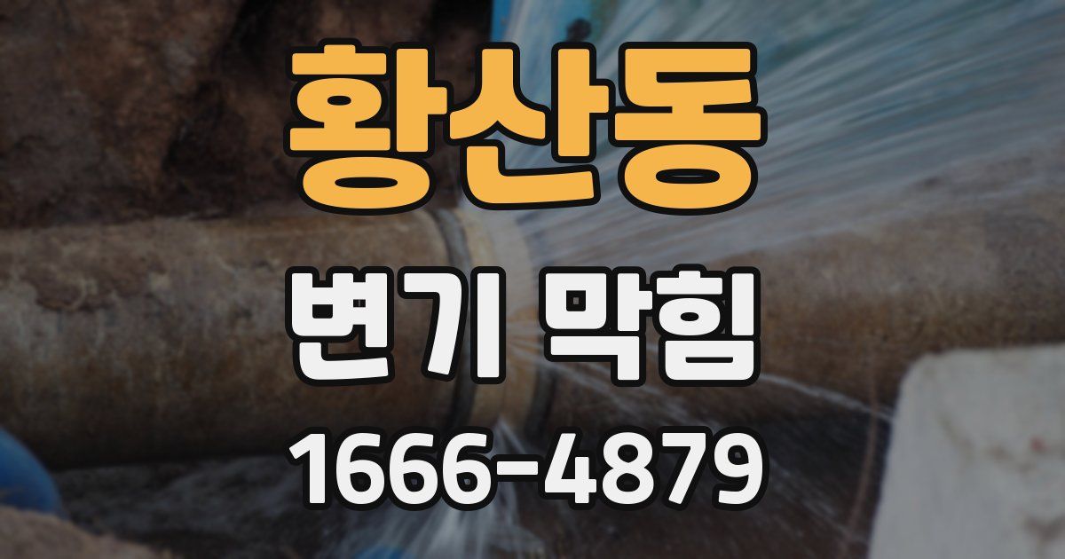 황산동 변기 막힘