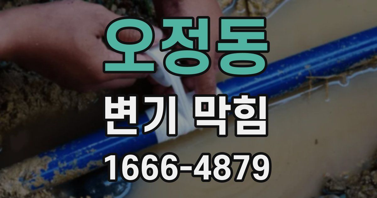 오정동 변기 막힘