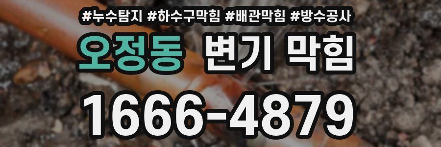 오정동 변기 막힘