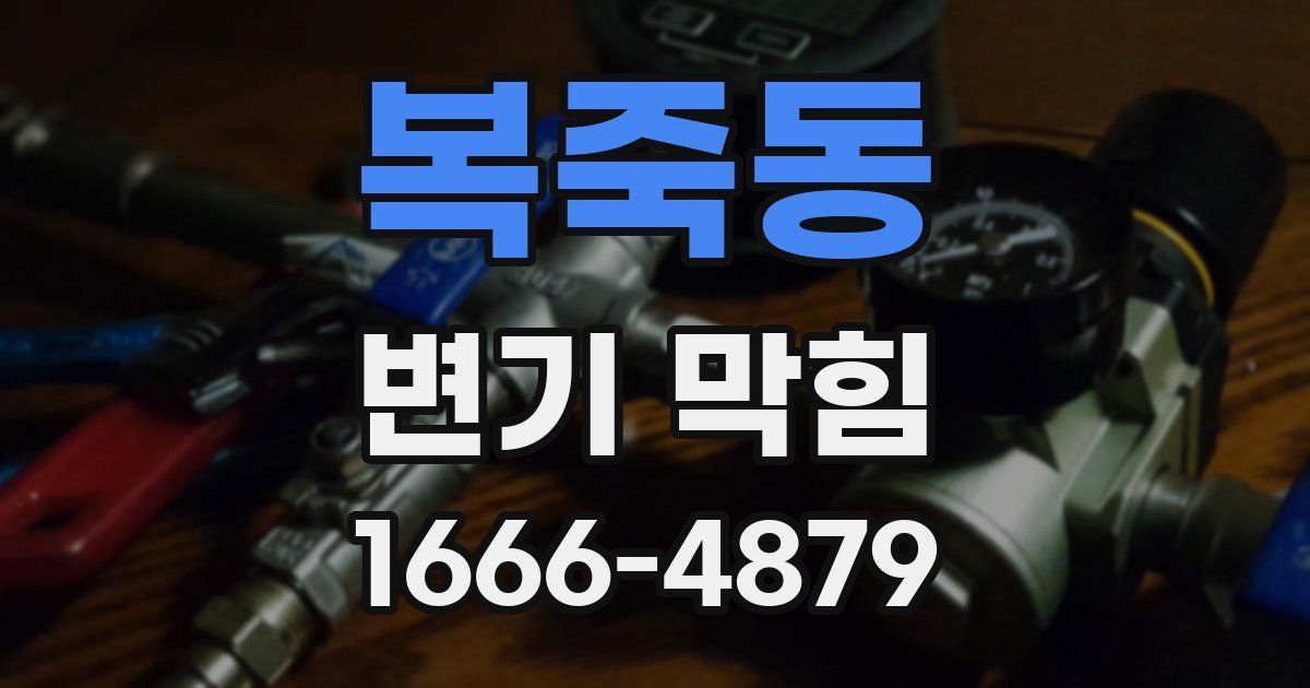 복죽동 변기 막힘