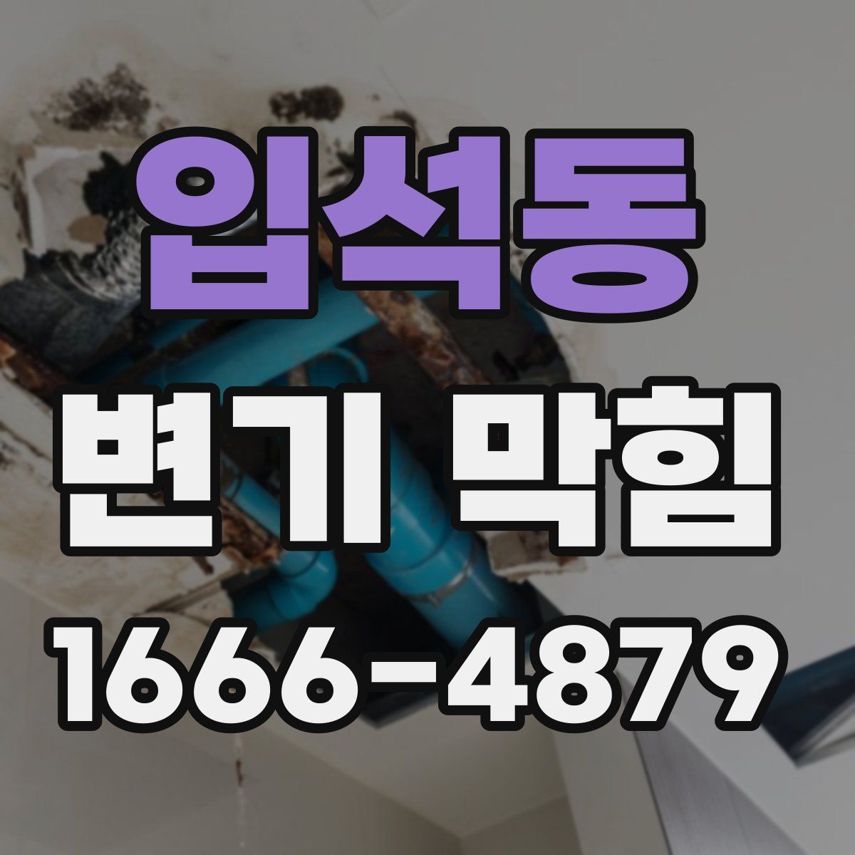 입석동 변기 막힘