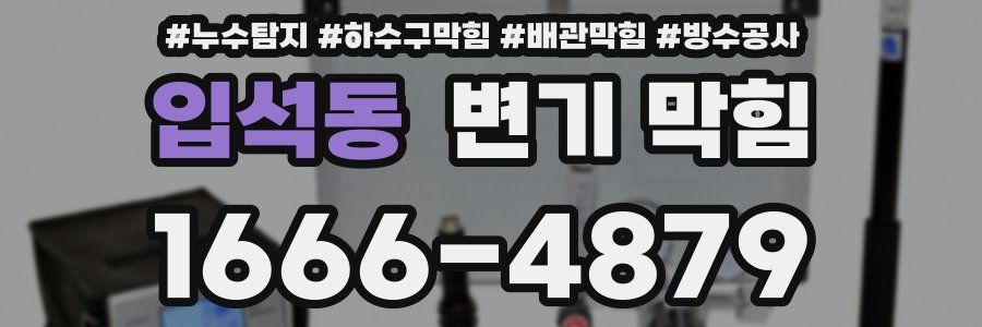 입석동 변기 막힘