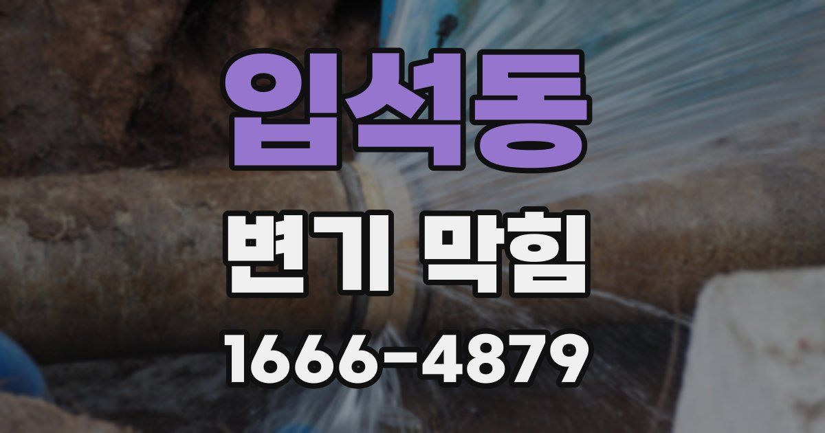 입석동 변기 막힘