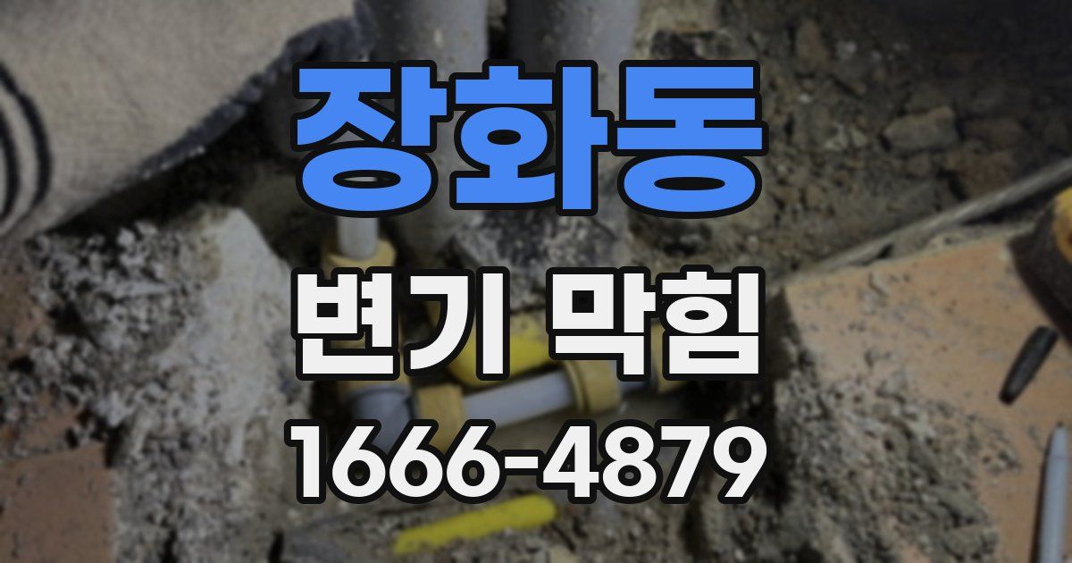 장화동 변기 막힘
