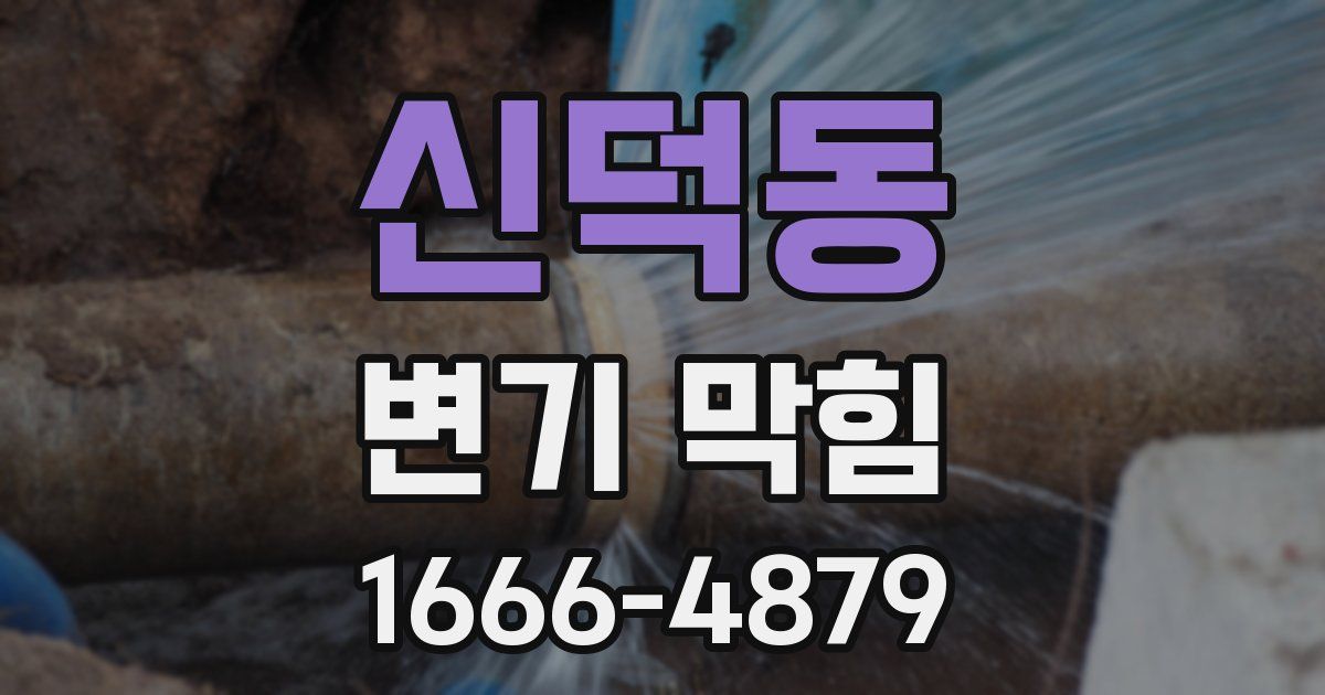 신덕동 변기 막힘