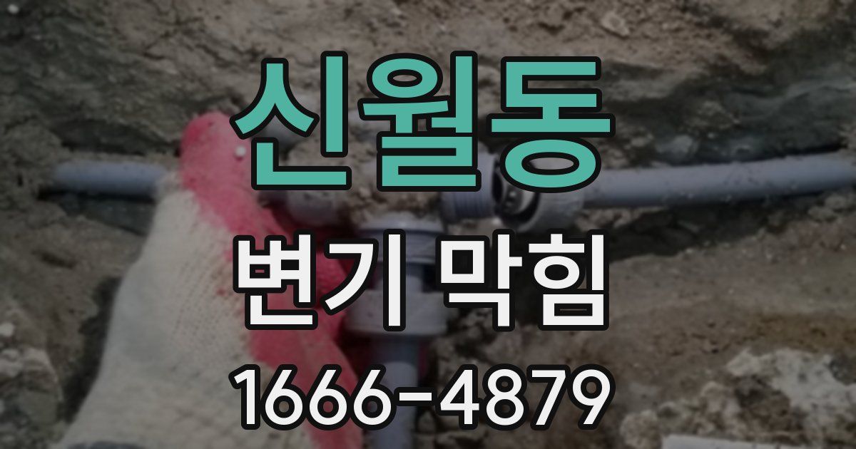 신월동 변기 막힘