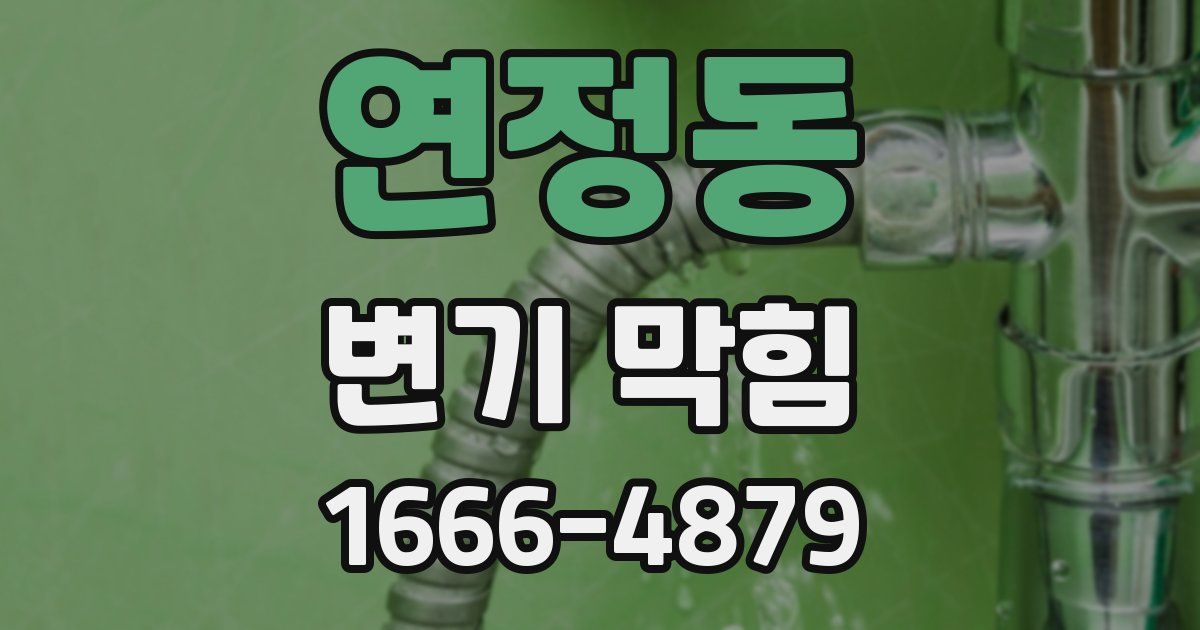 연정동 변기 막힘