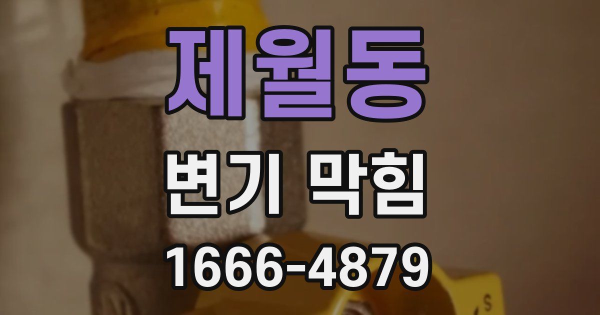 제월동 변기 막힘