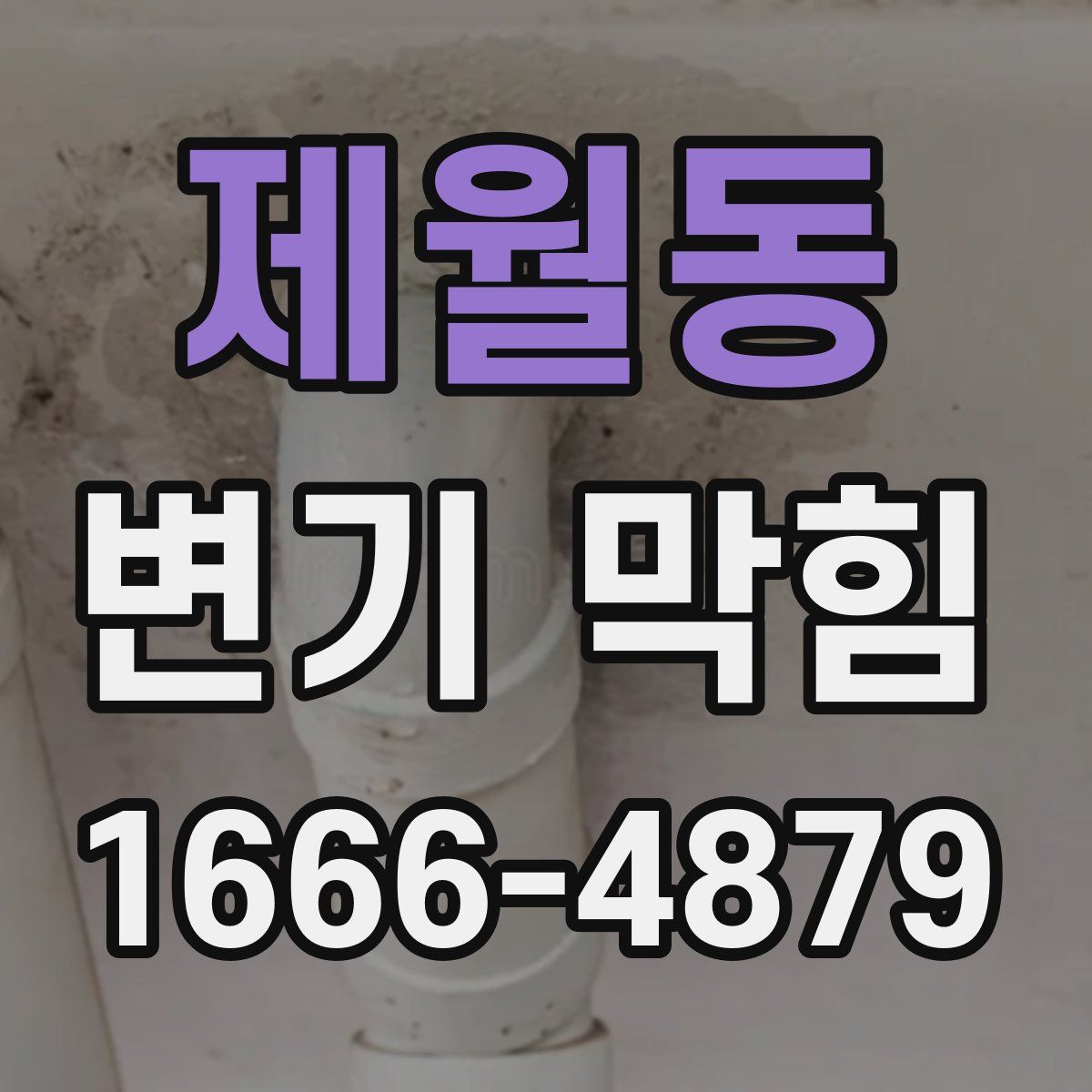 제월동 변기 막힘