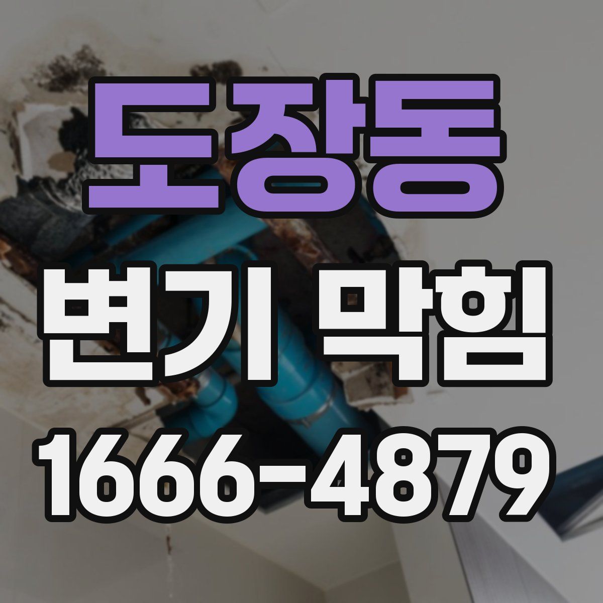 도장동 변기 막힘