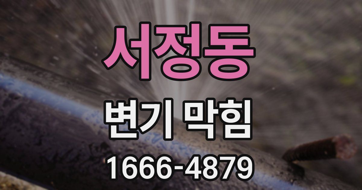 서정동 변기 막힘
