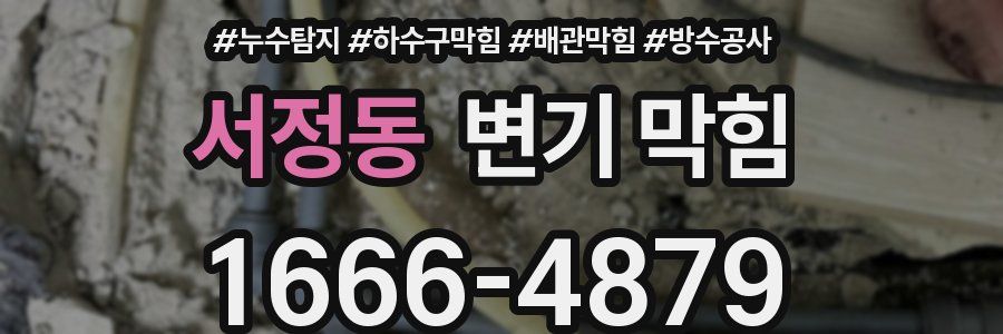 서정동 변기 막힘
