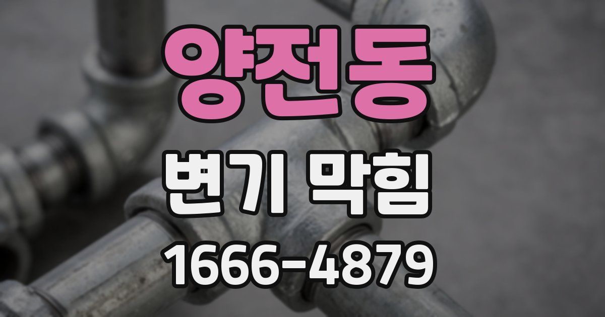 양전동 변기 막힘