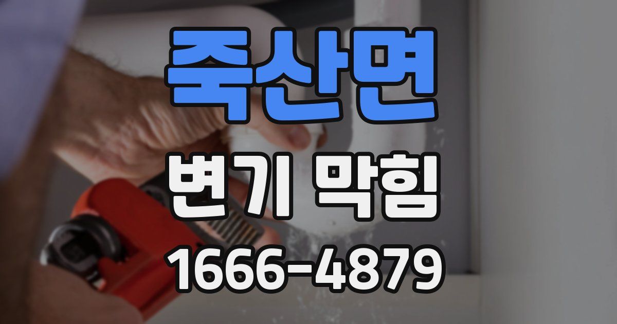 죽산면 변기 막힘