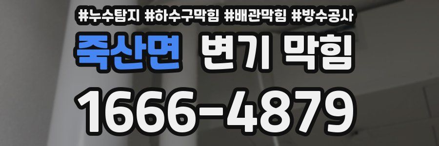 죽산면 변기 막힘