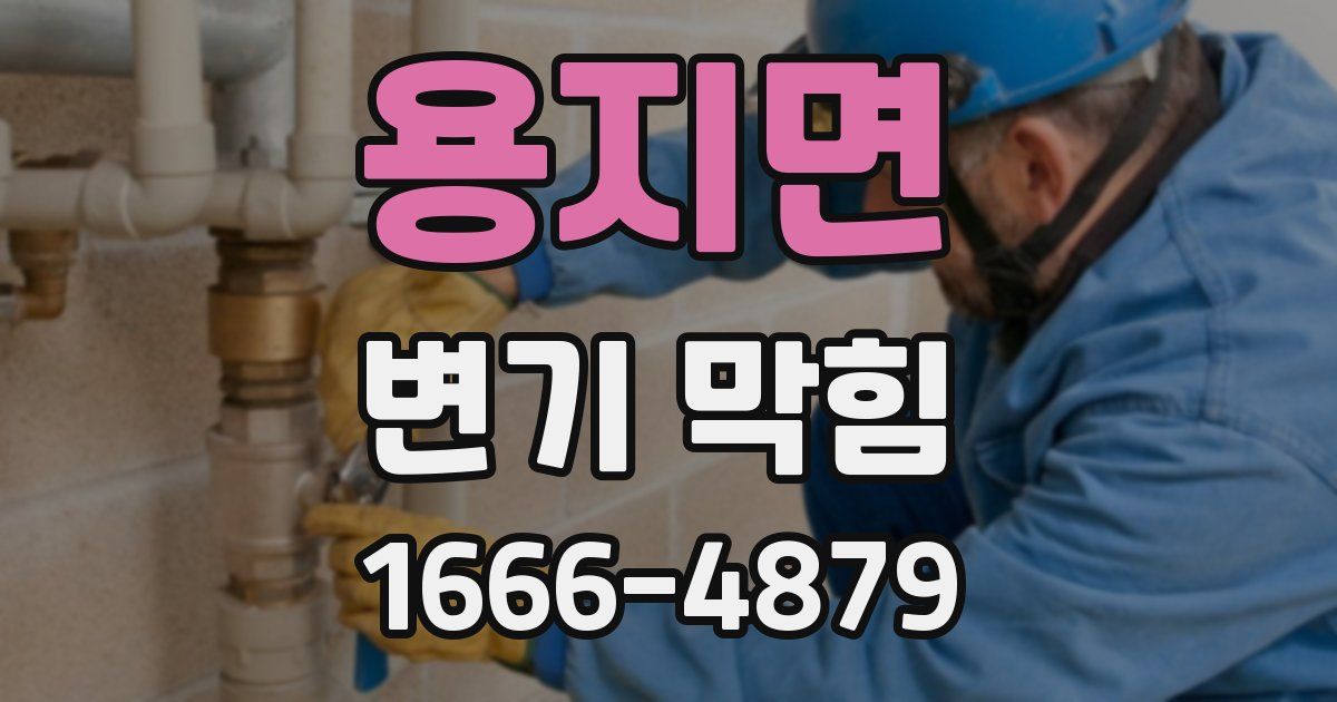 용지면 변기 막힘