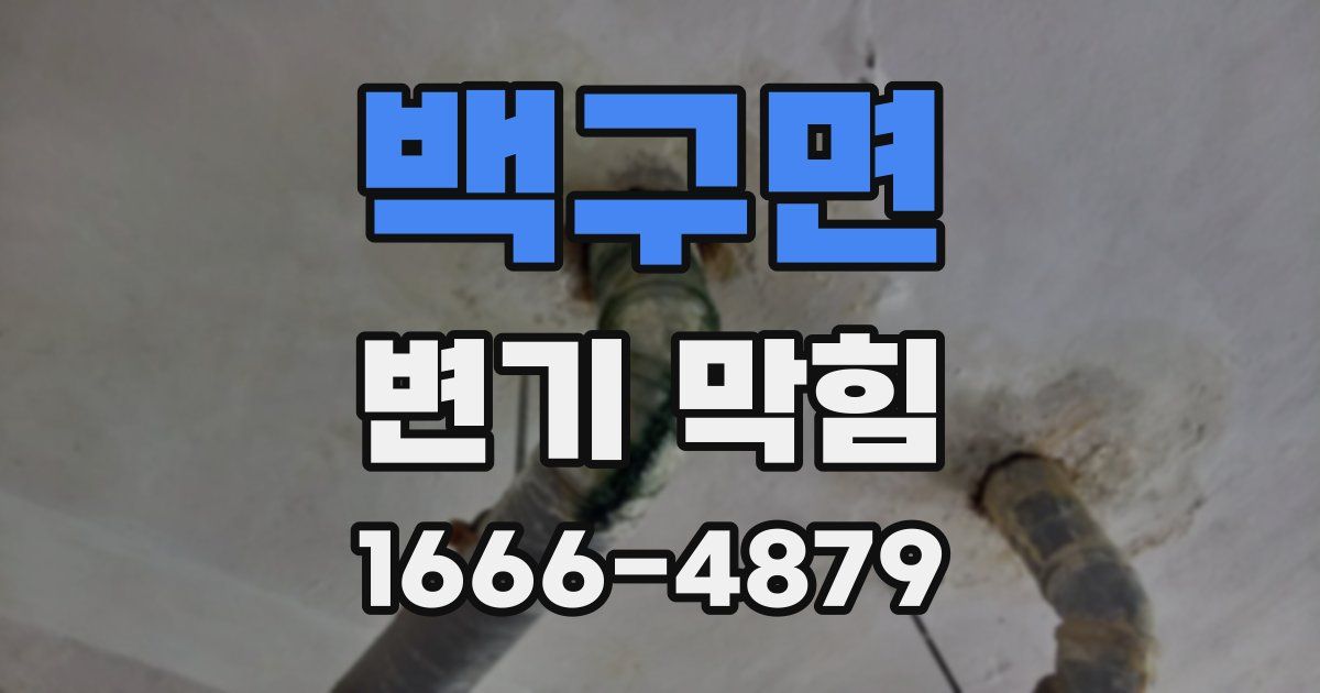 백구면 변기 막힘