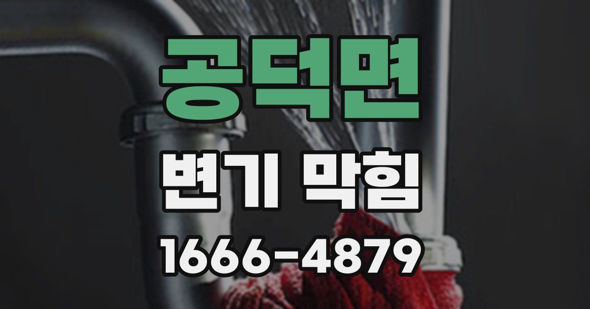 공덕면 변기 막힘
