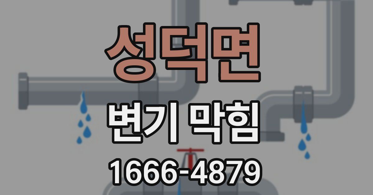 성덕면 변기 막힘