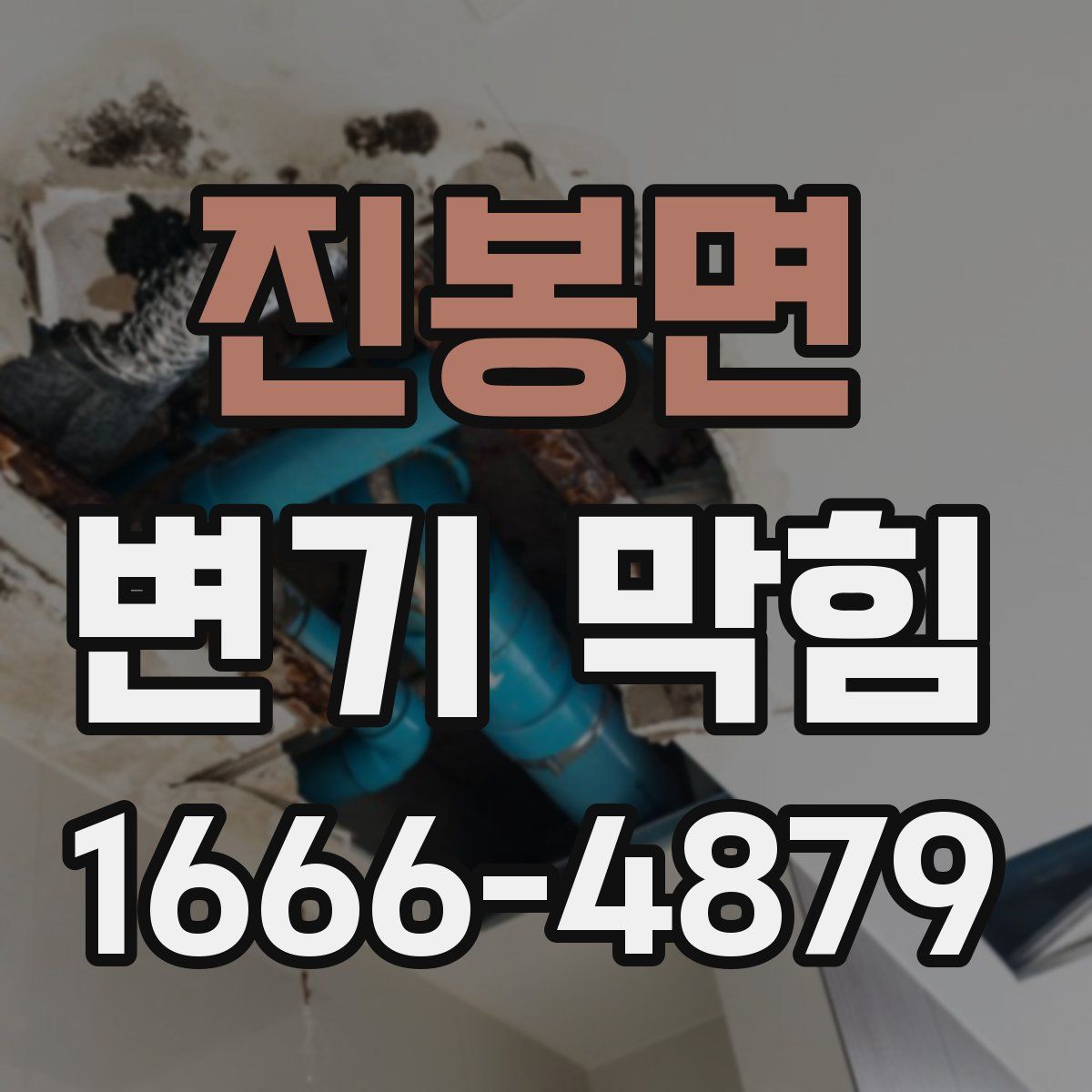 진봉면 변기 막힘