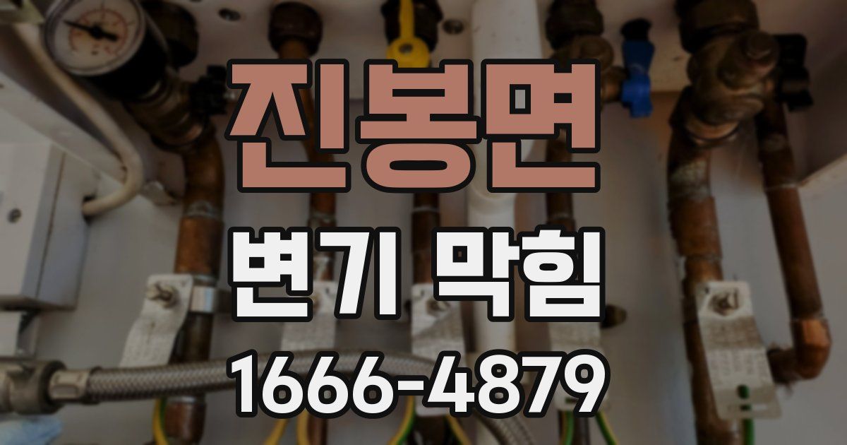 진봉면 변기 막힘