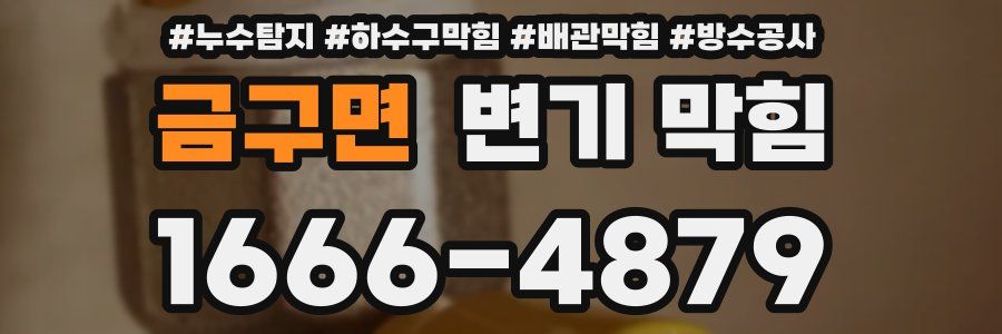 금구면 변기 막힘