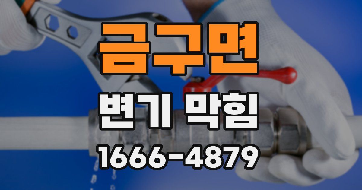 금구면 변기 막힘