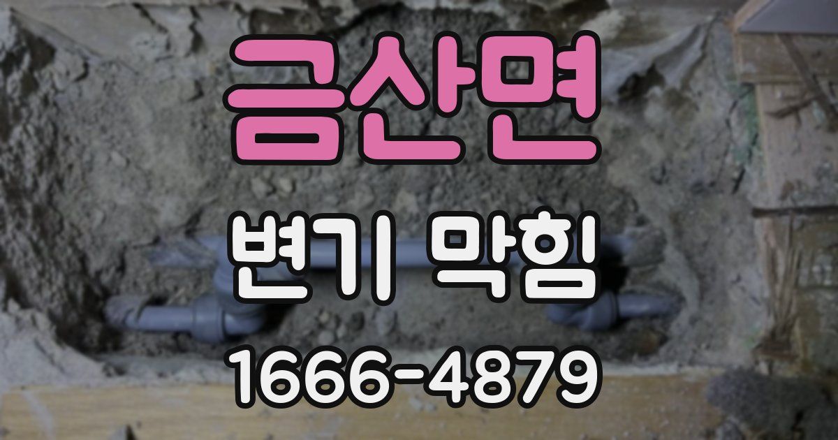 금산면 변기 막힘
