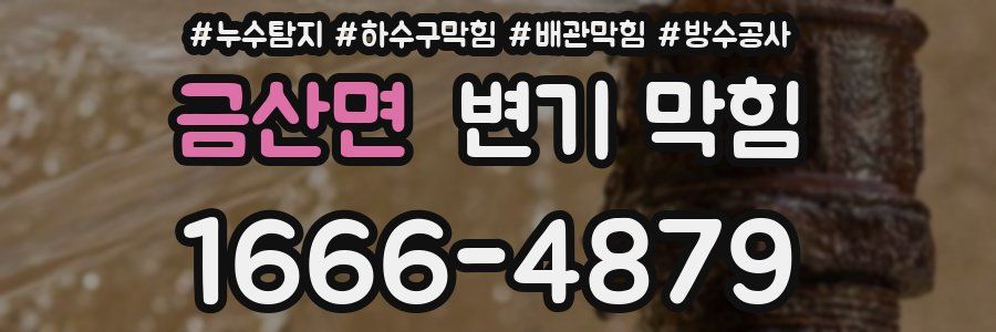 금산면 변기 막힘