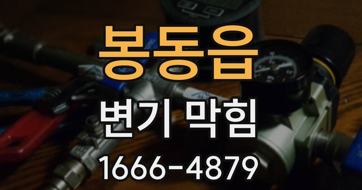 봉동읍 변기 막힘