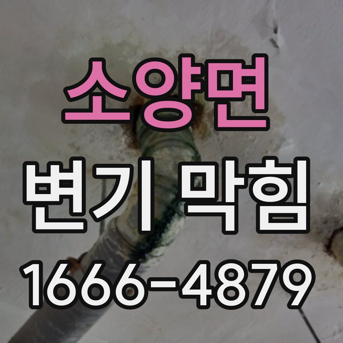 소양면 변기 막힘