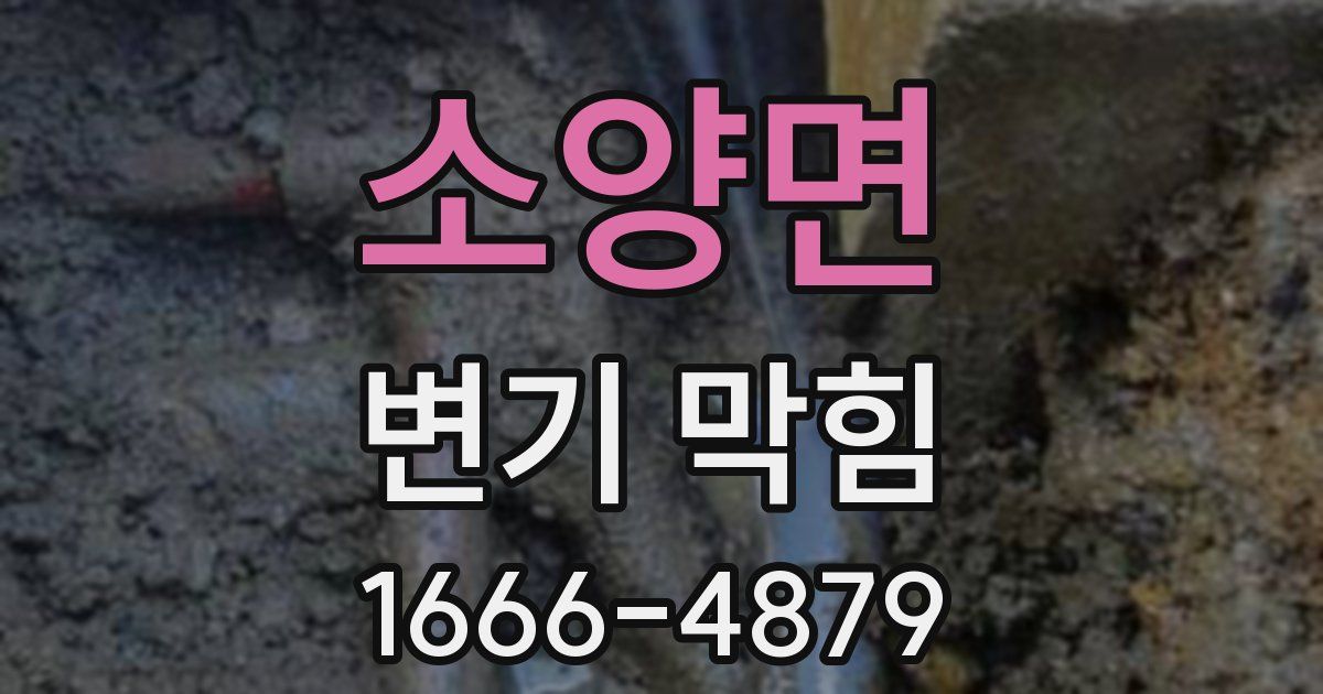 소양면 변기 막힘
