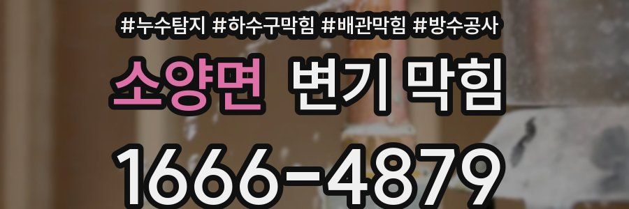 소양면 변기 막힘