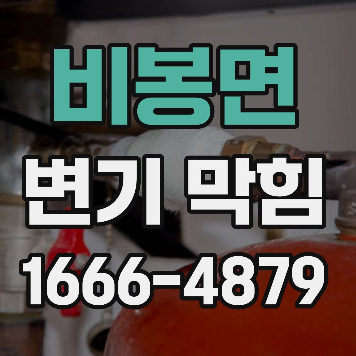 비봉면 변기 막힘