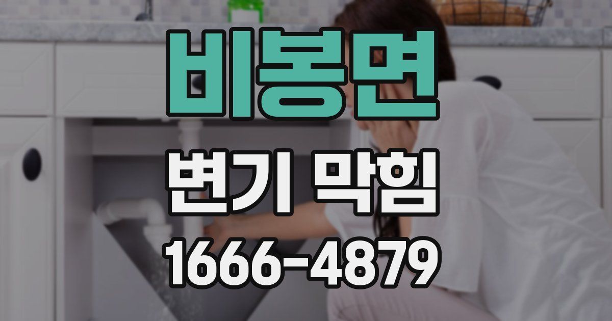 비봉면 변기 막힘