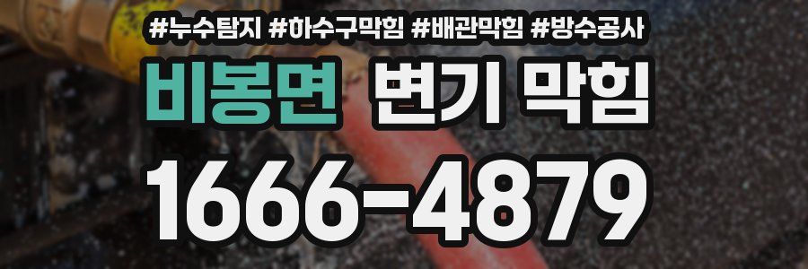 비봉면 변기 막힘