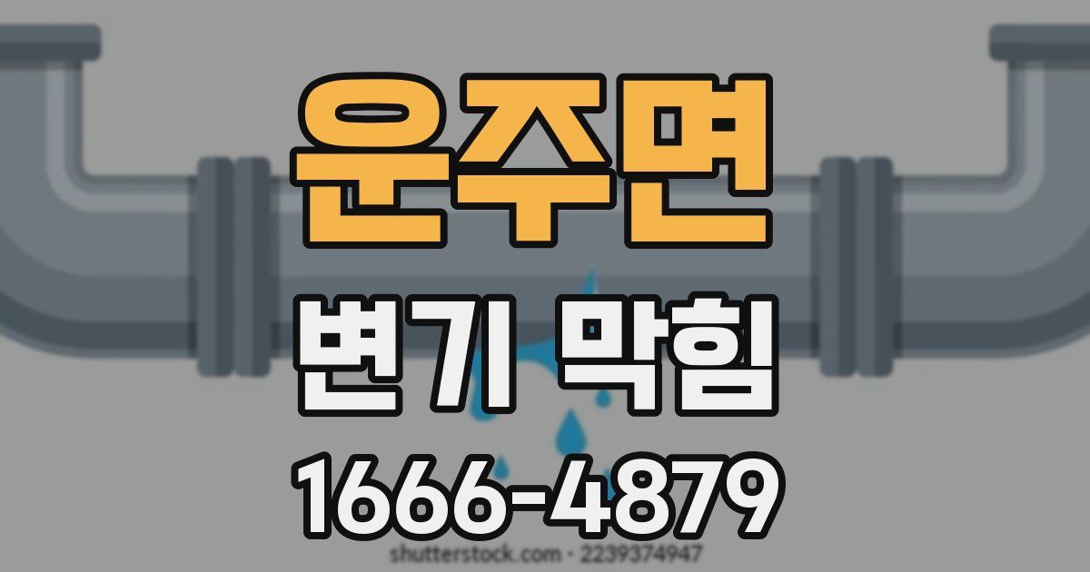 운주면 변기 막힘