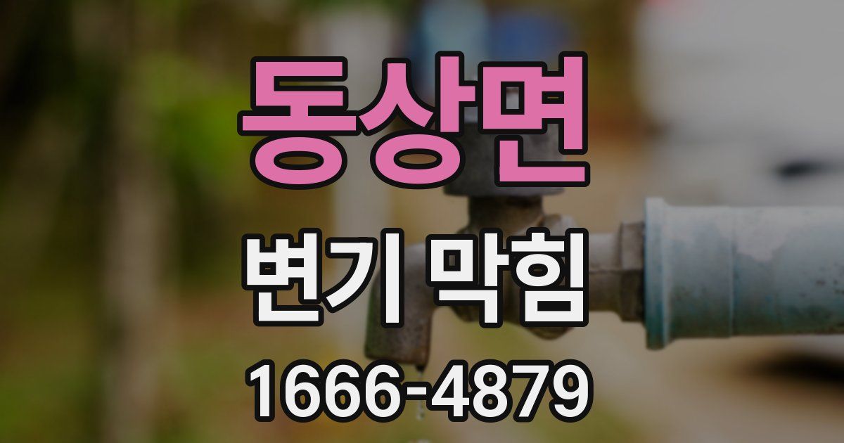 동상면 변기 막힘