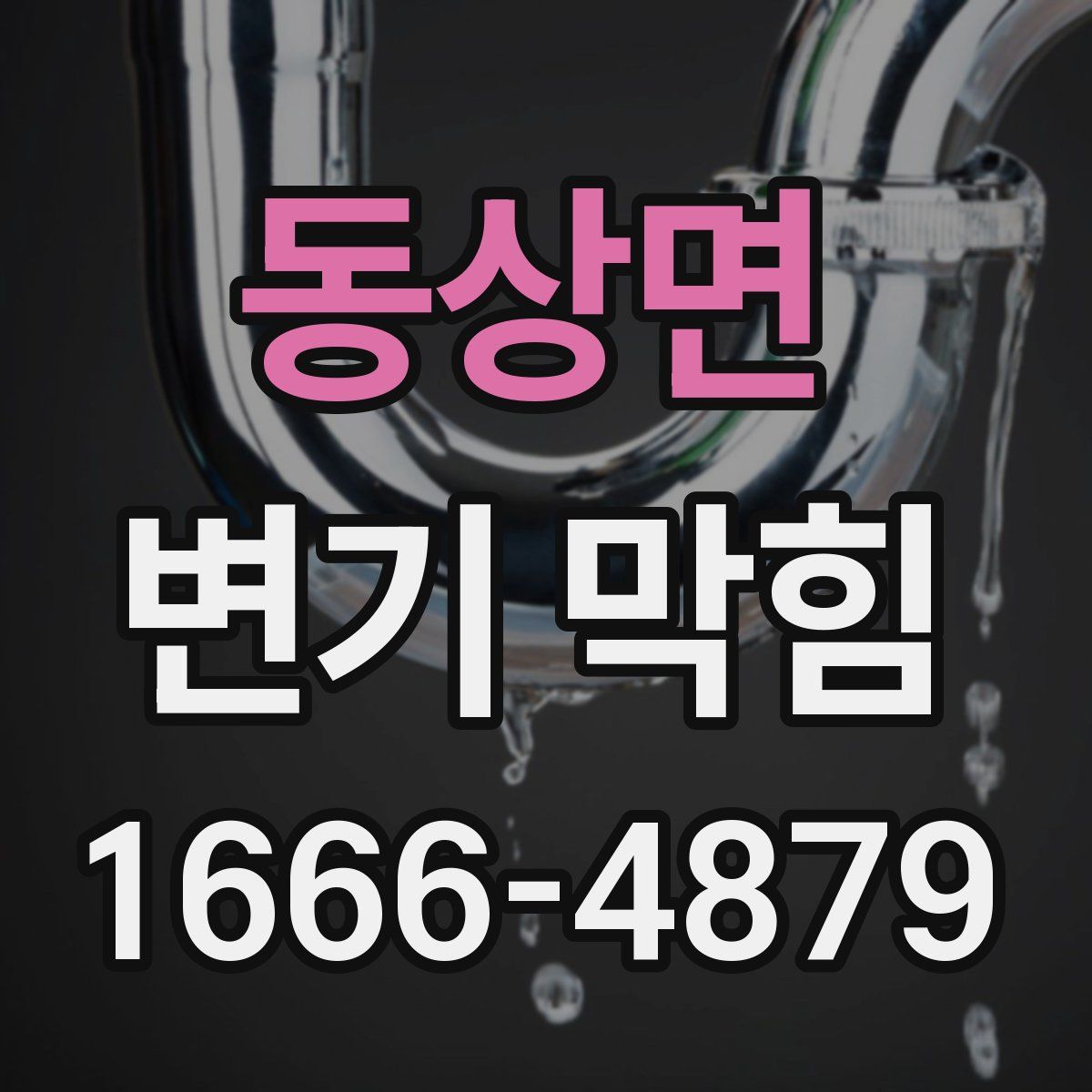 동상면 변기 막힘