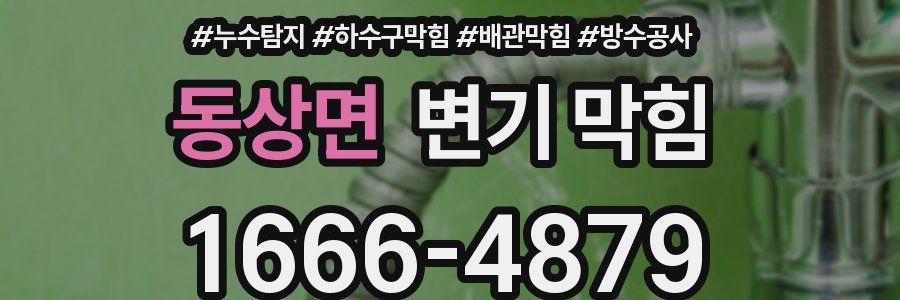 동상면 변기 막힘