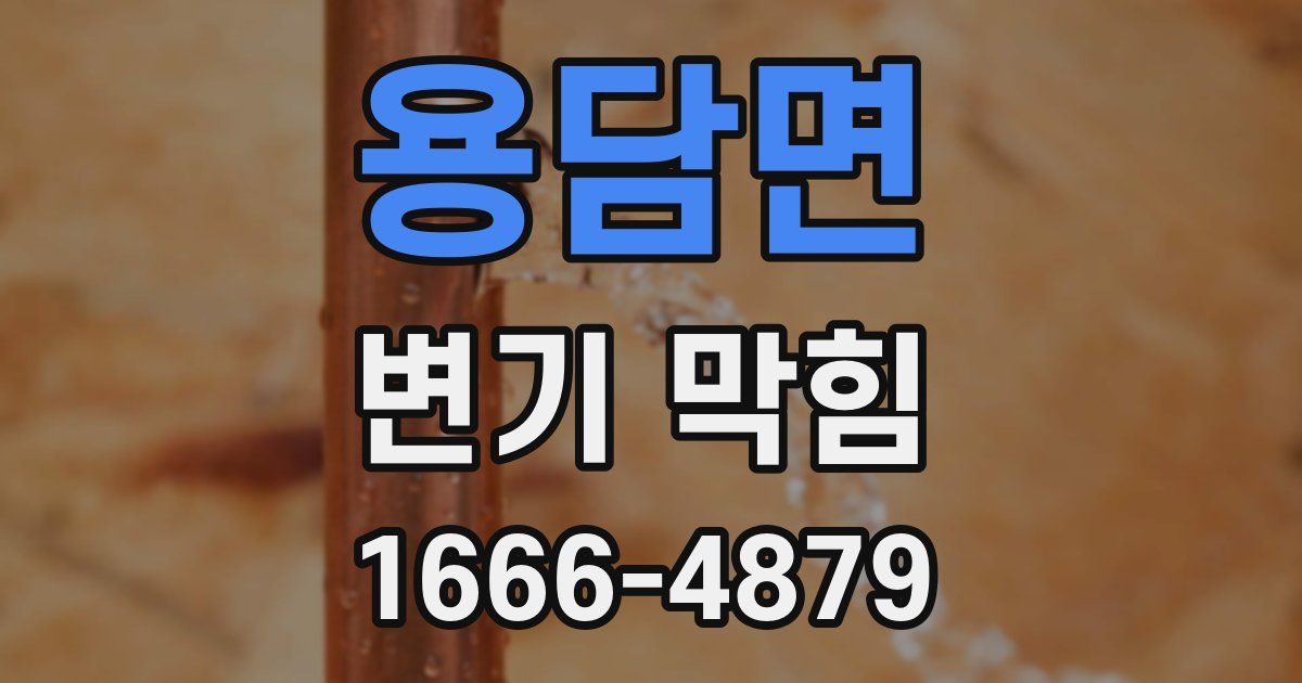 용담면 변기 막힘
