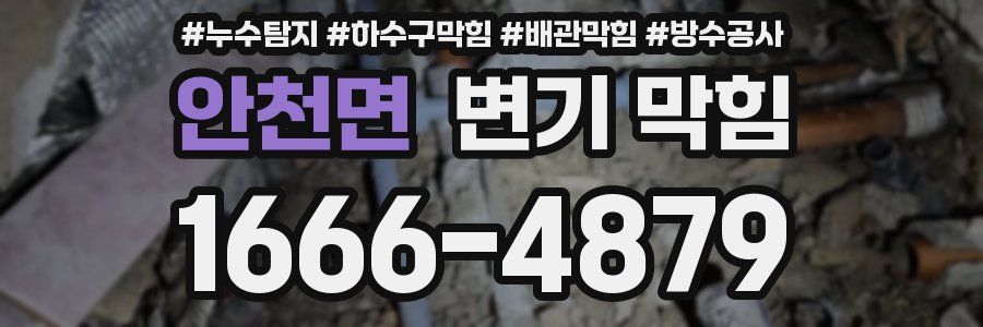 안천면 변기 막힘