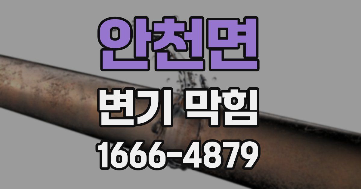 안천면 변기 막힘