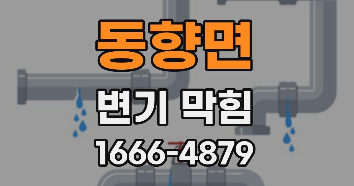 동향면 변기 막힘