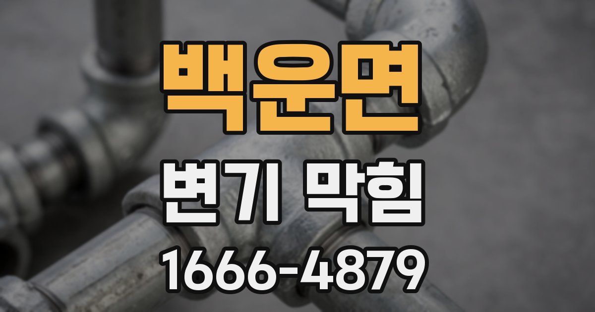 백운면 변기 막힘